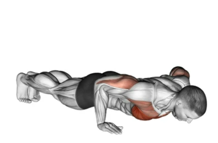 Standard Push-up zoom 2