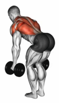 Dumbbell Row preview