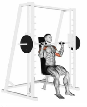 Military Press preview