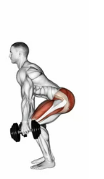 Dumbbell Squat zoom 2