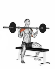 Overhead Triceps Press preview