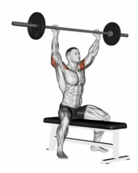 Overhead Triceps Press zoom 2