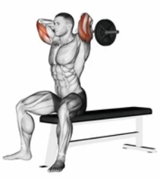 SZ Bar Triceps Extension preview