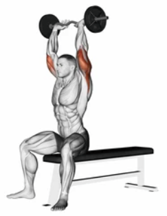 SZ Bar Triceps Extension zoom 2