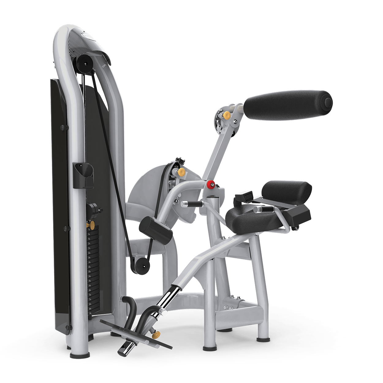 Back Extension preview