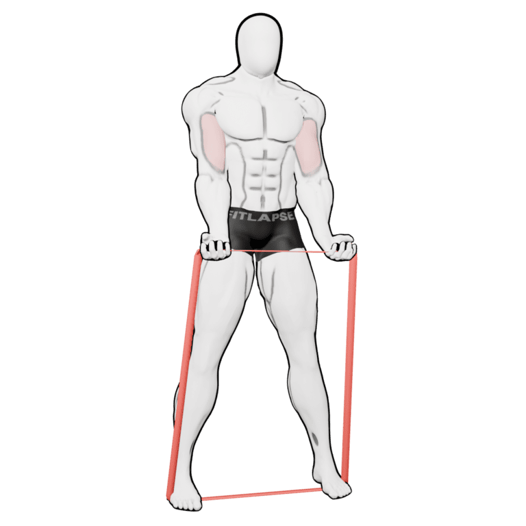 Band Biceps Curl — starting position