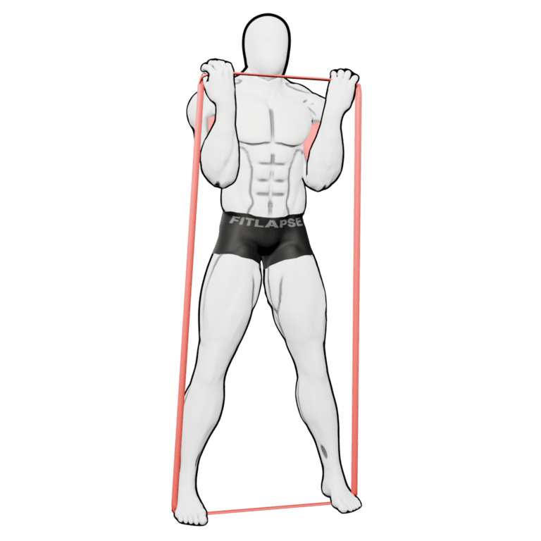 Band Biceps Curl — finishing position, working the biceps