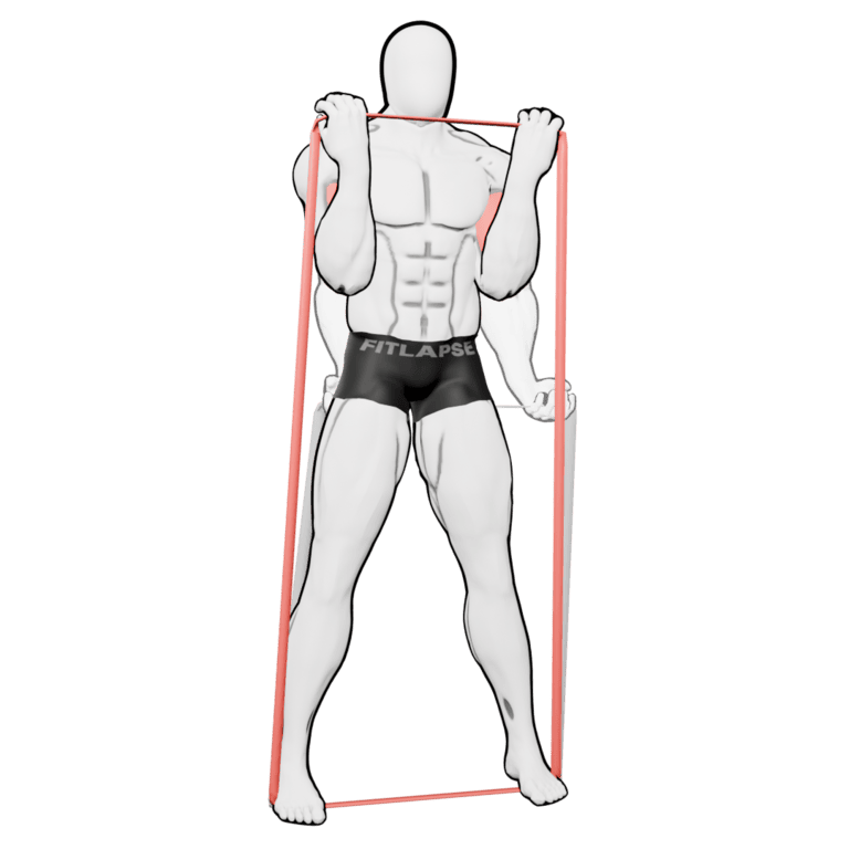 Band Biceps Curl