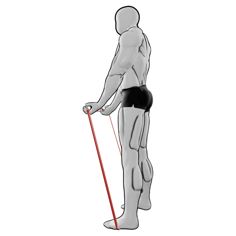 Band Biceps Curl — starting position, second camera angle