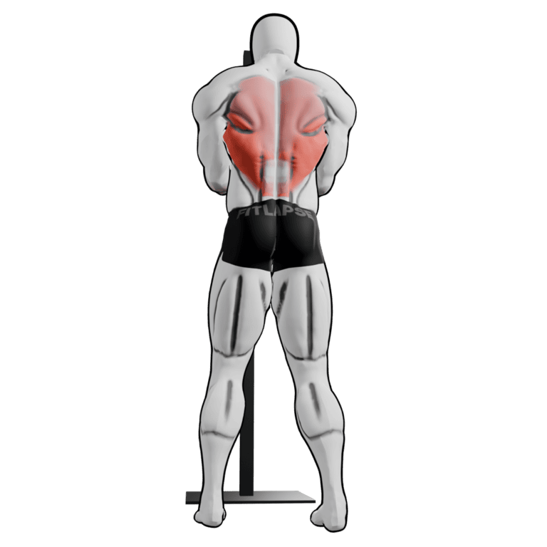 Band Face Pull — finishing position, second camera angle, working the lats and teres major