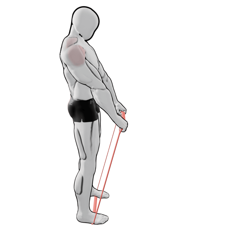 Band Front Raise — starting position