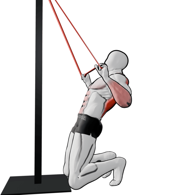 Band Kneeling Lat Pulldown — finishing position, working the lats and teres major