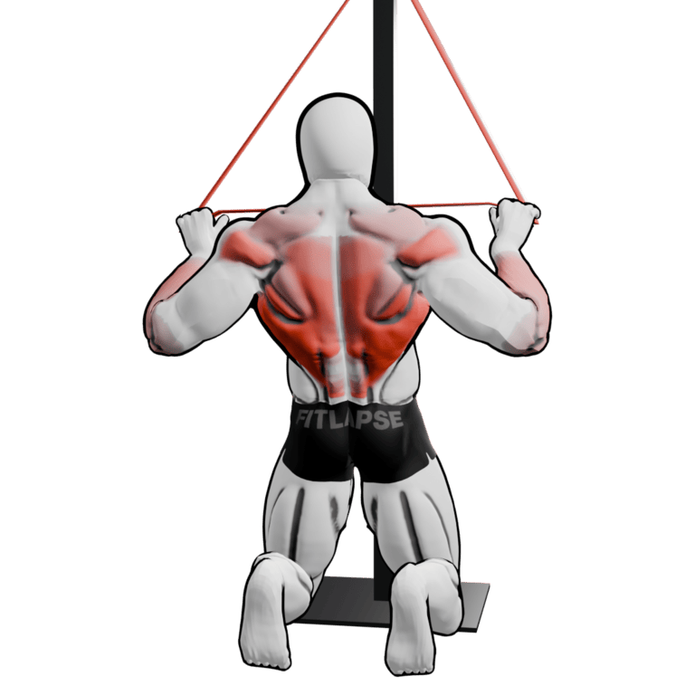 Band Kneeling Lat Pulldown — finishing position, second camera angle, working the lats and teres major
