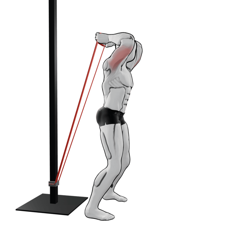 Band Overhead Triceps Extension — starting position