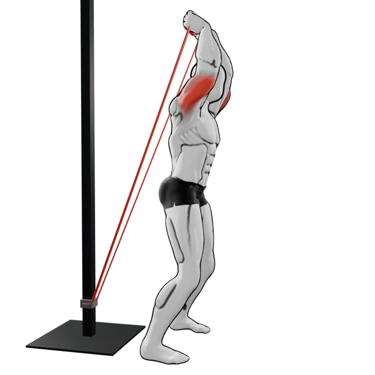 Band Overhead Triceps Extension — finishing position, working the triceps and front delts