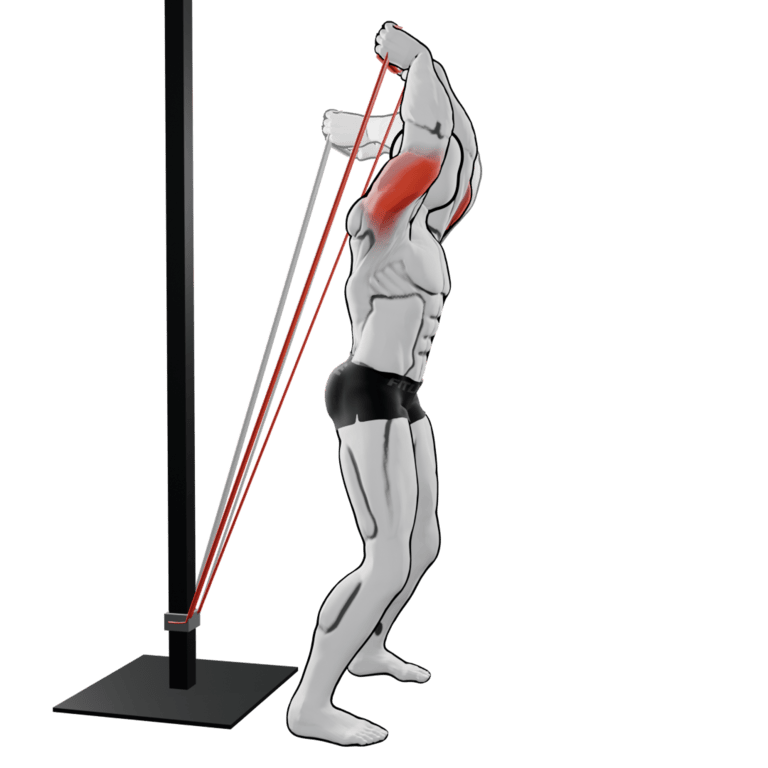 Band Overhead Triceps Extension