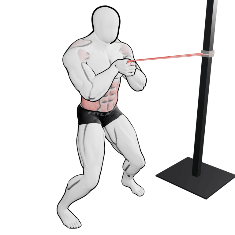 Band Pallof Press — starting position, second camera angle