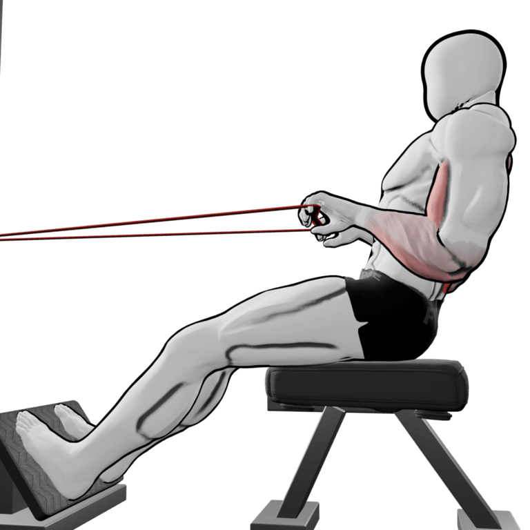 Band Seated Row — finishing position, working the lats and teres major