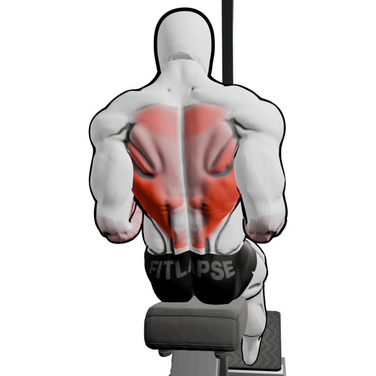 Band Seated Row — finishing position, second camera angle, working the lats and teres major