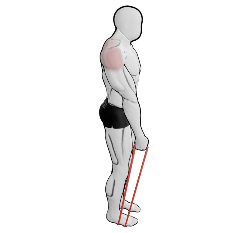 Band Single-Arm Lateral Raise — starting position