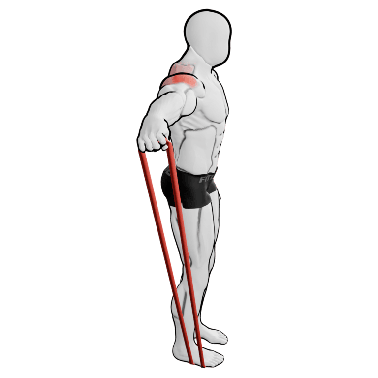 Band Single-Arm Lateral Raise — finishing position, working the side delts and rear delts