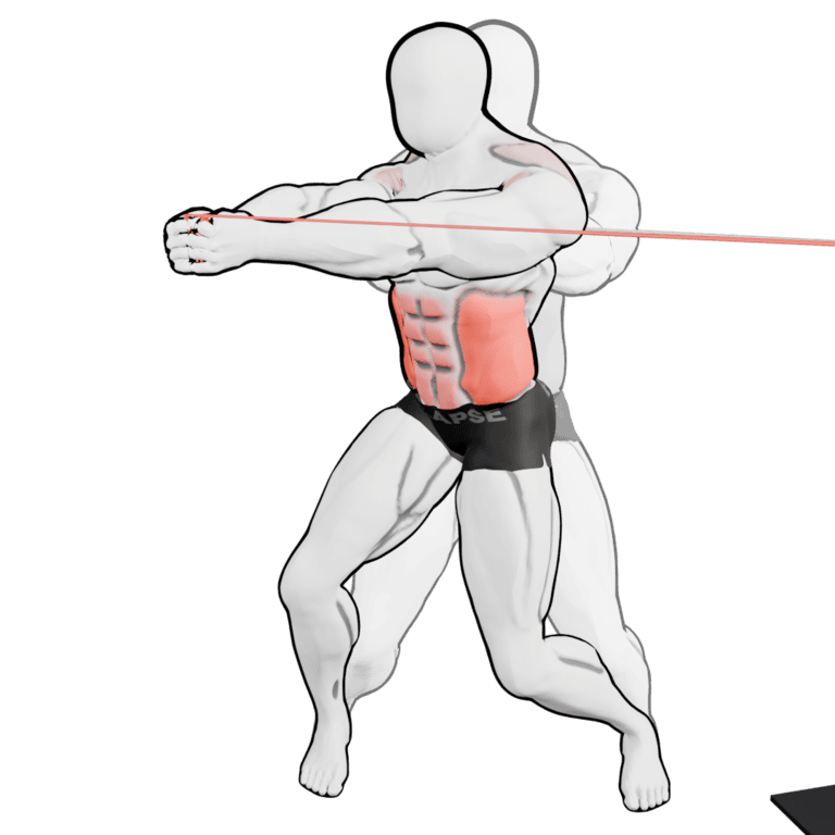 Band Standing Torso Rotation