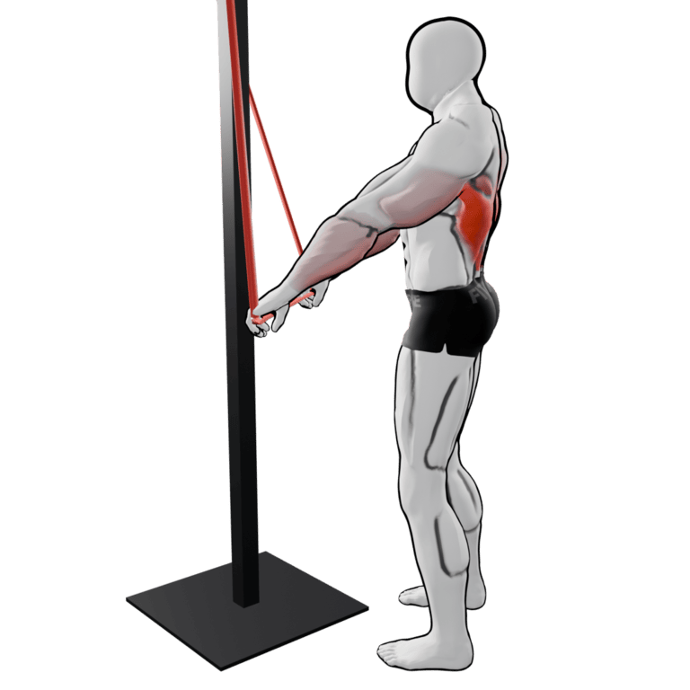 Band Straight-Arm Pulldown — finishing position, working the lats and teres major