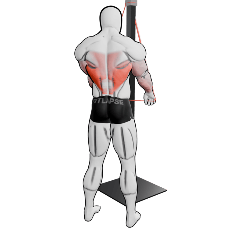 Band Straight-Arm Pulldown — finishing position, second camera angle, working the lats and teres major