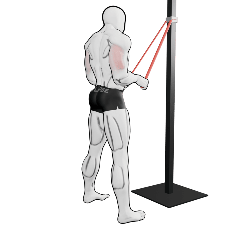 Band Triceps Pushdown — starting position