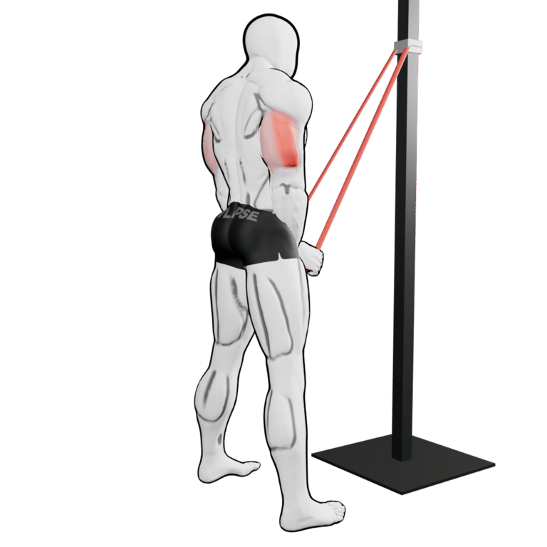Band Triceps Pushdown — finishing position, working the triceps