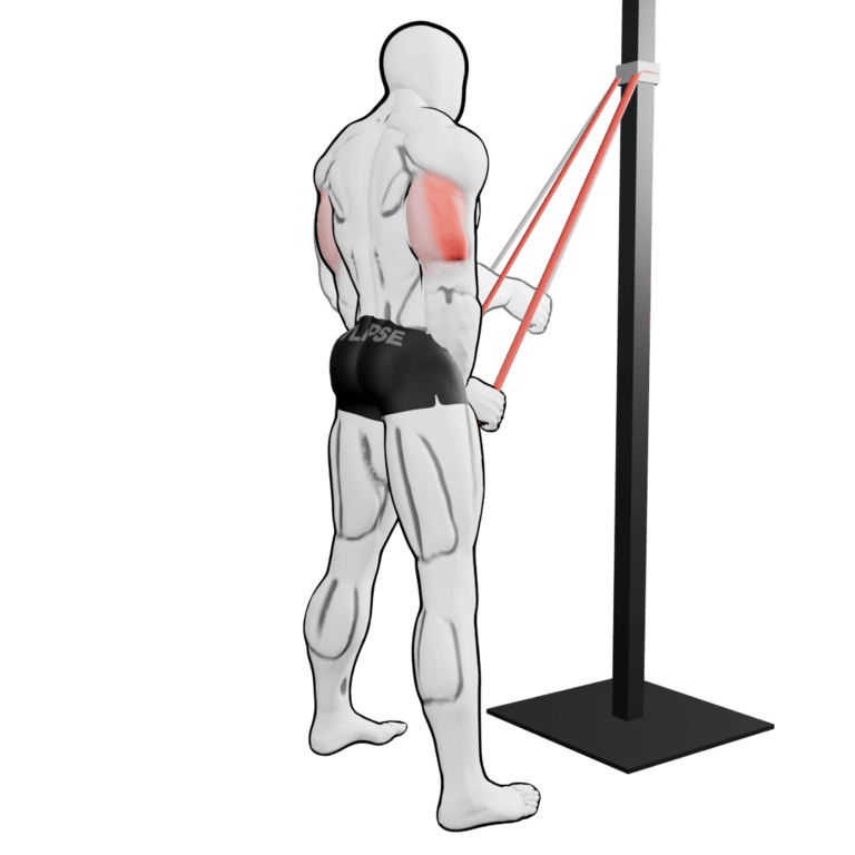 Band Triceps Pushdown