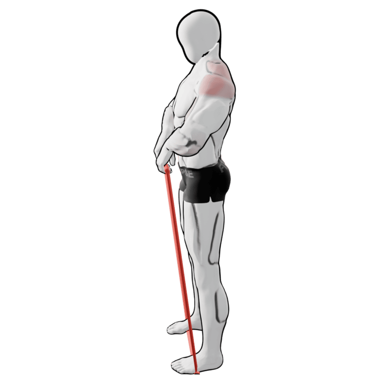 Band Upright Row — starting position