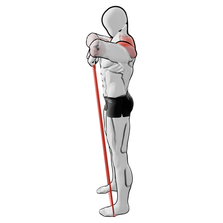 Band Upright Row — finishing position, working the side delts and upper traps