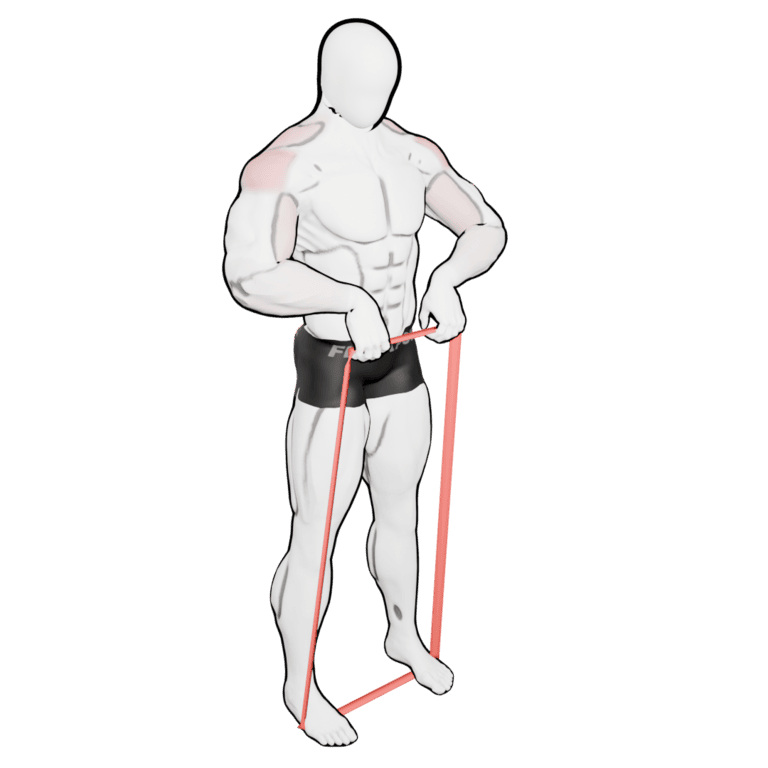 Band Upright Row — starting position, second camera angle