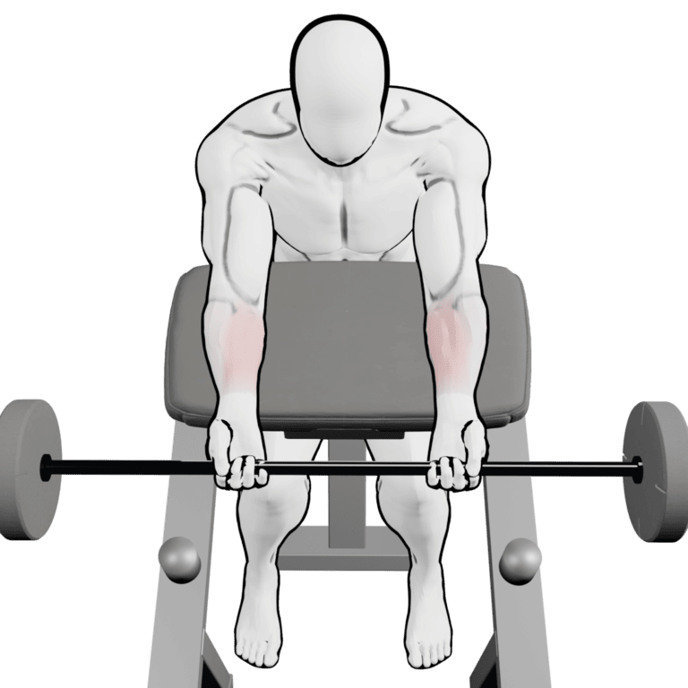 Preacher Barbell Wrist Curl — starting position