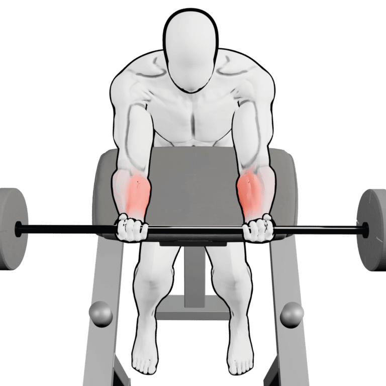 Preacher Barbell Wrist Curl — finishing position, working the forearms