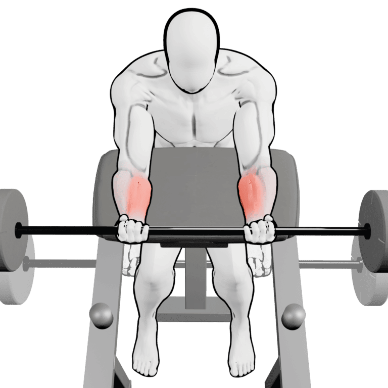 Preacher Barbell Wrist Curl