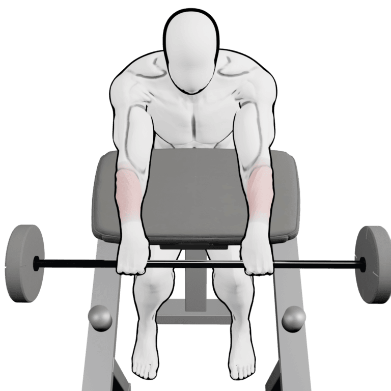 Preacher Reverse Barbell Wrist Curl — starting position