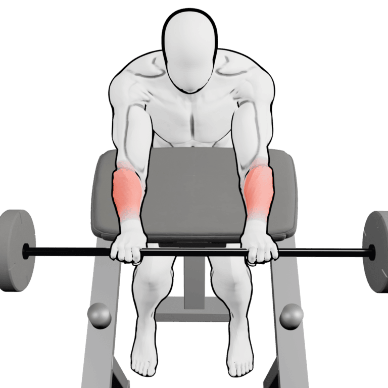Preacher Reverse Barbell Wrist Curl — finishing position, working the forearms