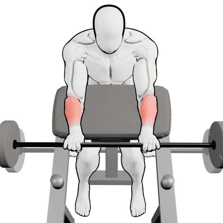 Preacher Reverse Barbell Wrist Curl