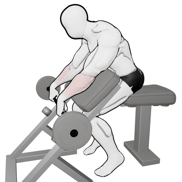 Preacher Reverse Barbell Wrist Curl — starting position, second camera angle