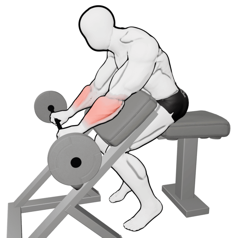 Preacher Reverse Barbell Wrist Curl — finishing position, second camera angle, working the forearms