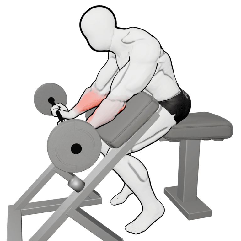 Preacher Barbell Wrist Curl — finishing position, second camera angle, working the forearms