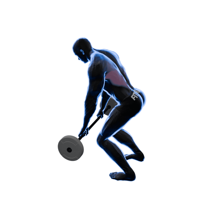 Bent-Over Barbell Row