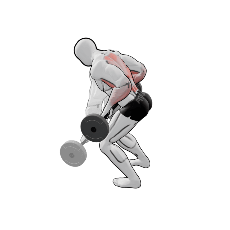 Bent-Over Barbell Row
