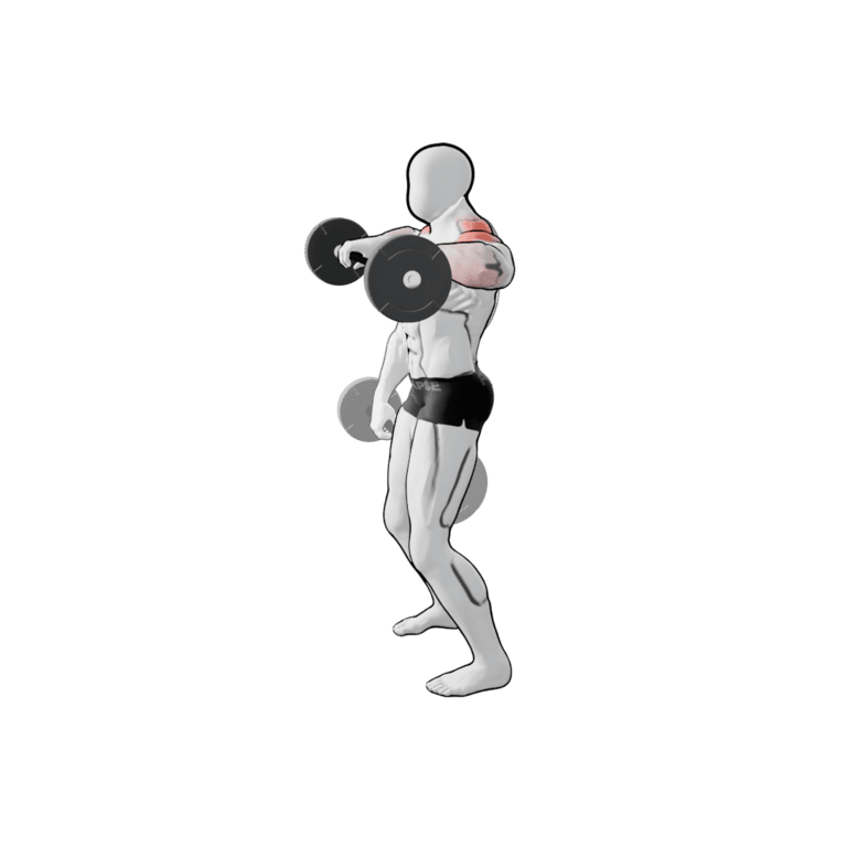 Barbell Upright Row