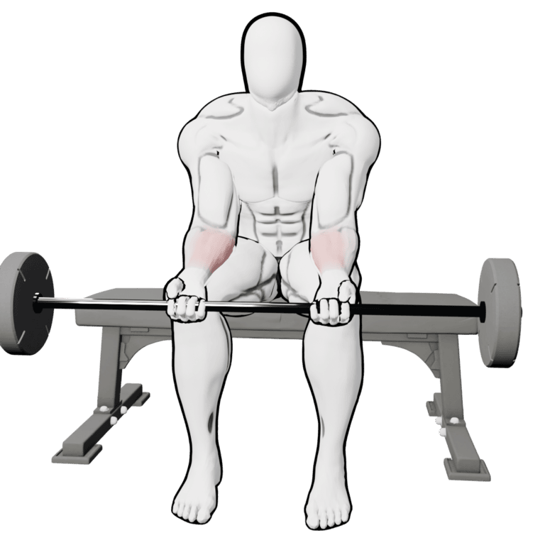 Barbell Wrist Curl — starting position