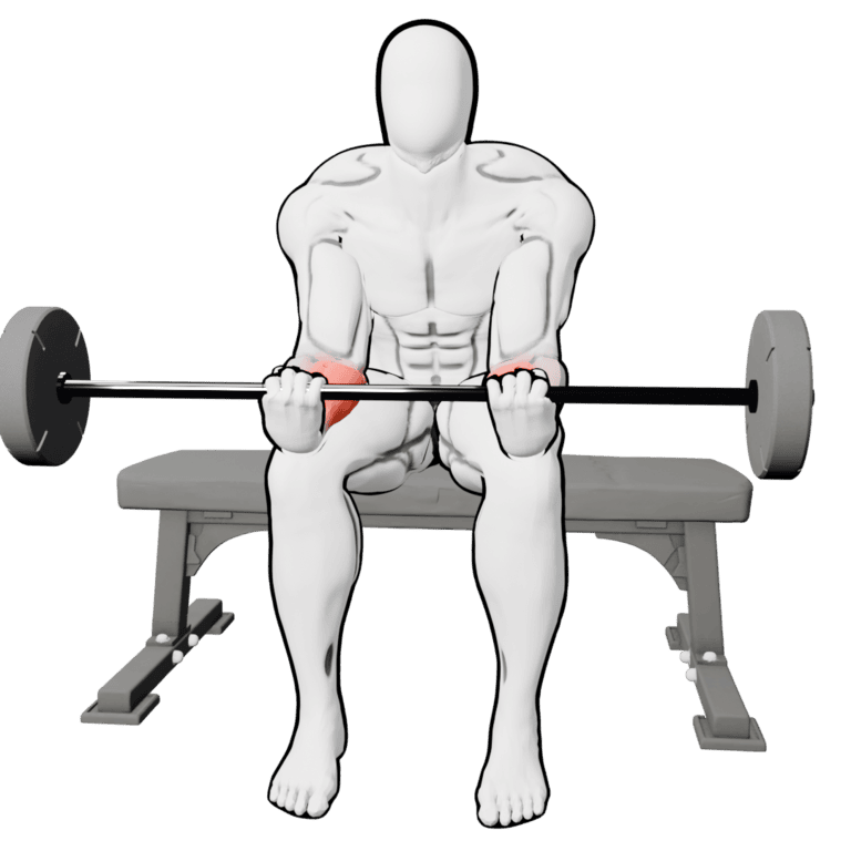 Barbell Wrist Curl — finishing position, working the forearms