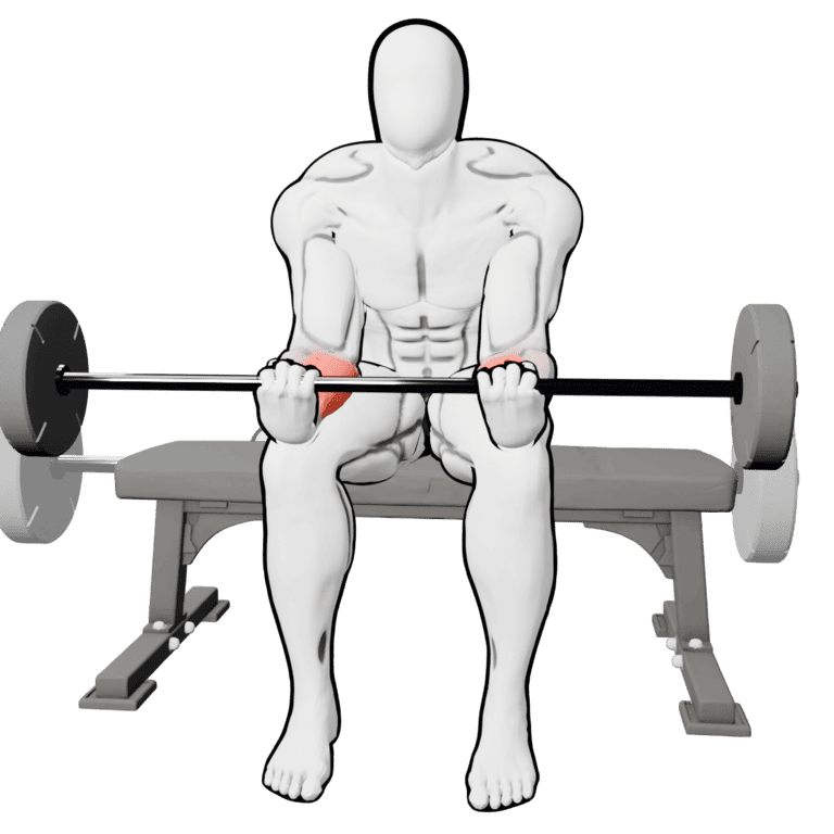 Barbell Wrist Curl