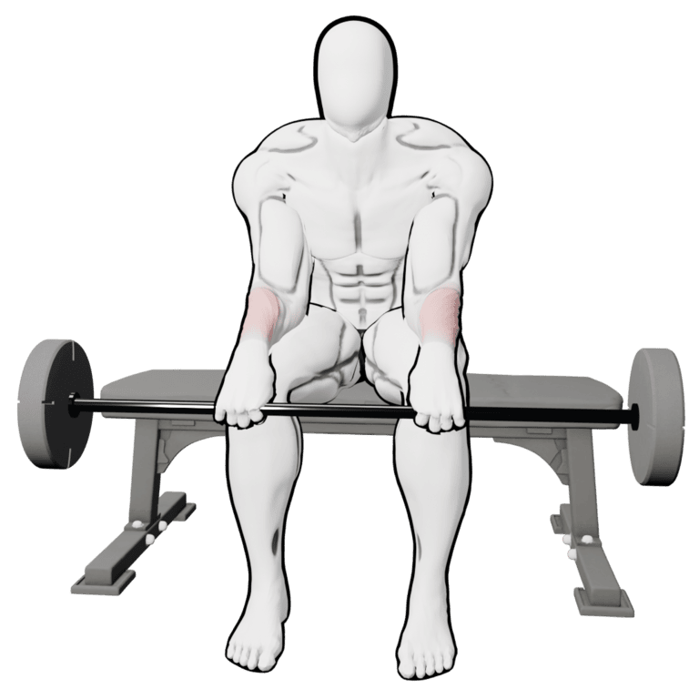 Reverse Barbell Wrist Curl — starting position